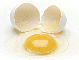 color-broken-egg