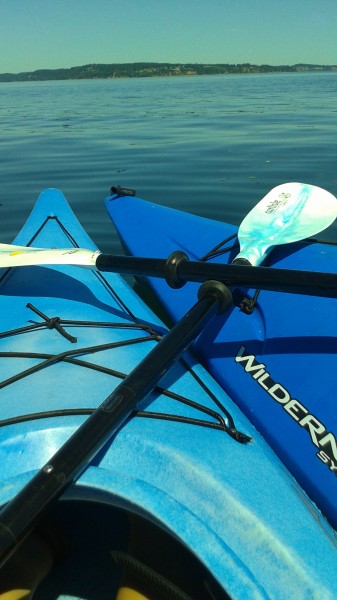 Siblings that paddle together stay together