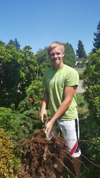 He also pulls up naughty trees that are trying to infiltrate the yard.