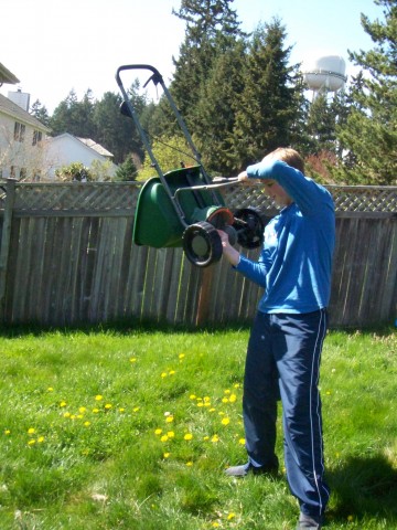 no good lawn no good lawn