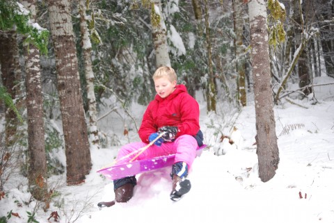 Sledding at the Duckabush Sledding at the Duckabush
