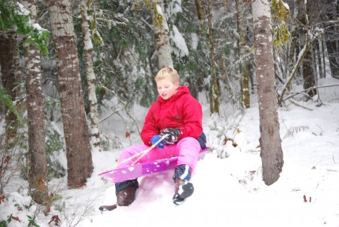 Sledding at the Duckabush