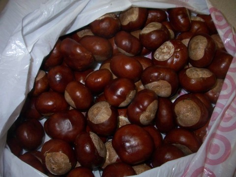 Bags o' Nuts